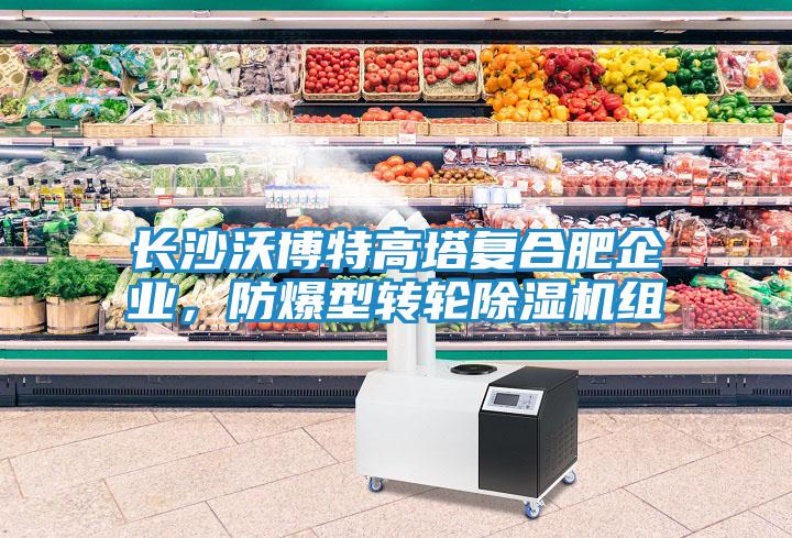長(zhǎng)沙沃博特高塔復(fù)合肥企業(yè)，防爆型轉(zhuǎn)輪除濕機(jī)組