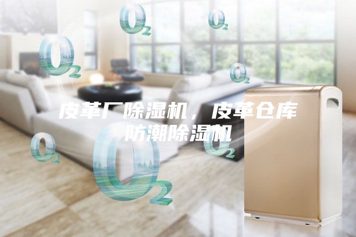 皮革廠除濕機(jī)，皮革倉庫防潮除濕機(jī)