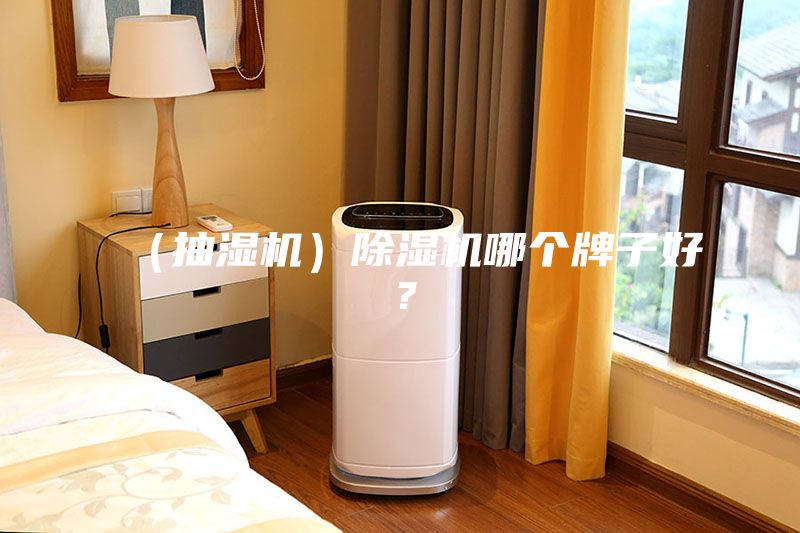 （抽濕機）除濕機哪個牌子好？