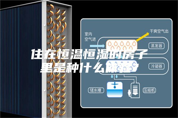 住在恒溫恒濕的房子里是種什么體驗(yàn)？