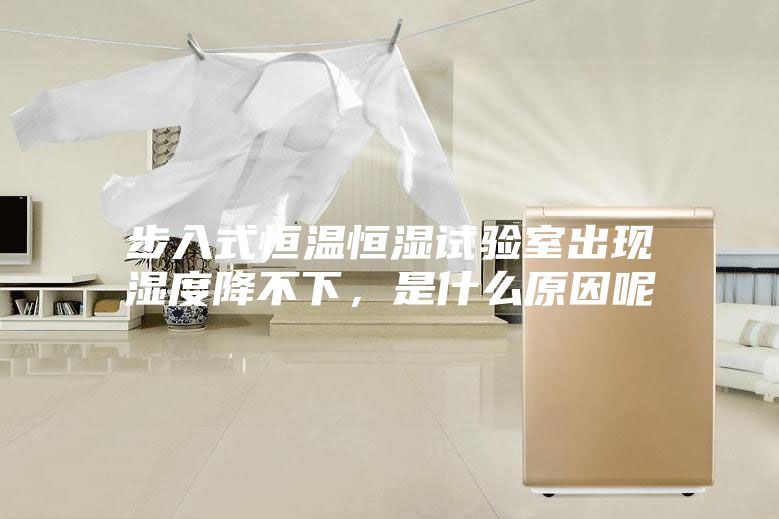 步入式恒溫恒濕試驗(yàn)室出現(xiàn)濕度降不下，是什么原因呢