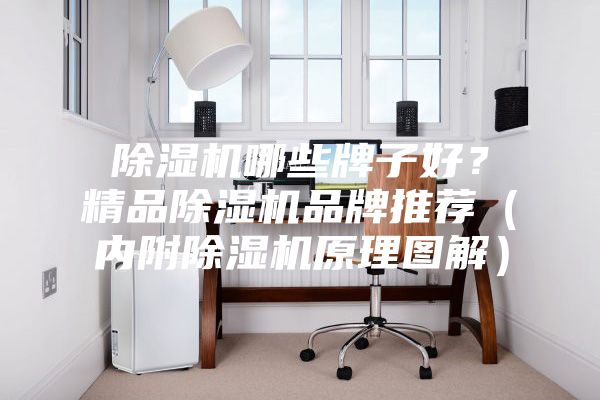 除濕機哪些牌子好？精品除濕機品牌推薦（內附除濕機原理圖解）