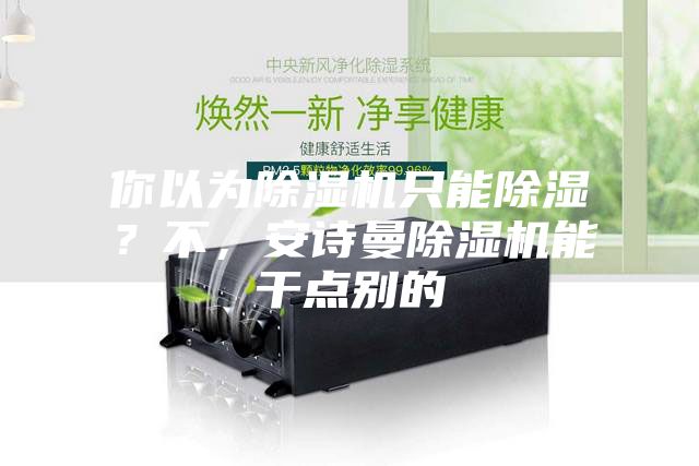 你以為除濕機(jī)只能除濕？不，安詩曼除濕機(jī)能干點(diǎn)別的
