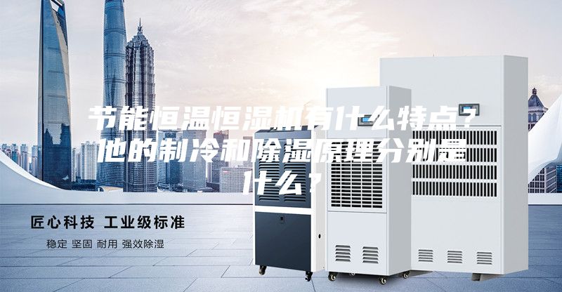 節(jié)能恒溫恒濕機(jī)有什么特點(diǎn)？他的制冷和除濕原理分別是什么？