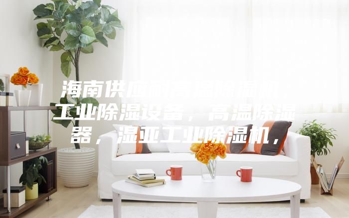 海南供應(yīng)耐高溫除濕機(jī)，工業(yè)除濕設(shè)備，高溫除濕器，濕亞工業(yè)除濕機(jī)，