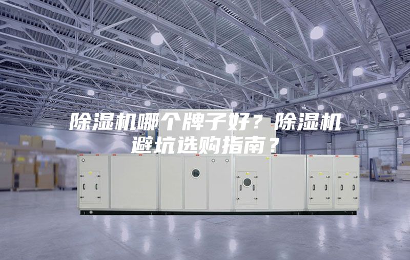除濕機哪個牌子好？除濕機避坑選購指南？