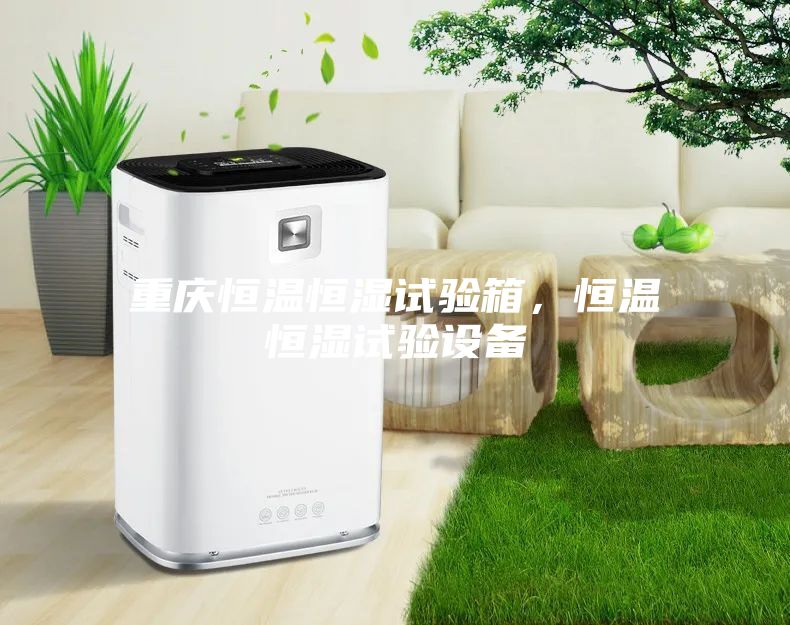 重慶恒溫恒濕試驗(yàn)箱，恒溫恒濕試驗(yàn)設(shè)備
