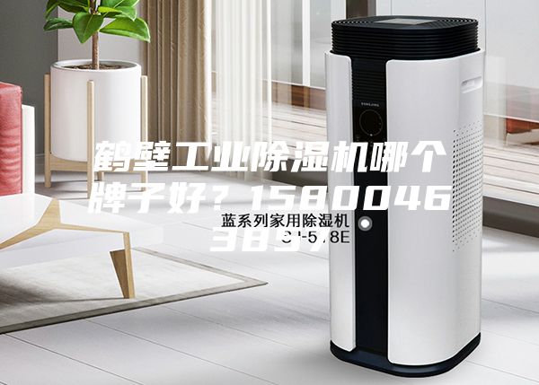 鶴壁工業(yè)除濕機哪個牌子好？15800463857