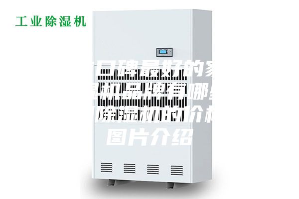 目前口碑最好的家用除濕機(jī)品牌有哪些？家用除濕機(jī)的價格和圖片介紹