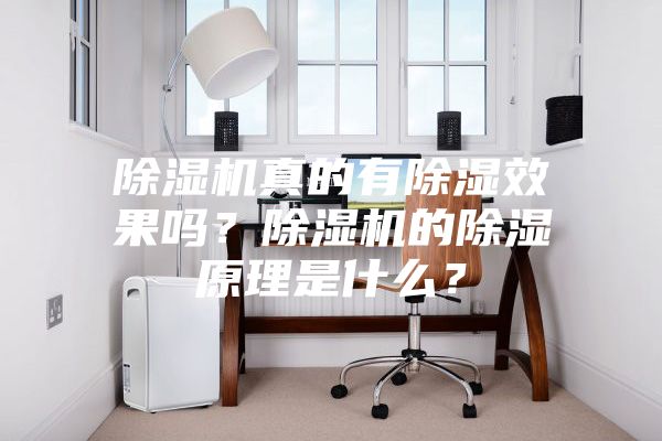 除濕機(jī)真的有除濕效果嗎？除濕機(jī)的除濕原理是什么？