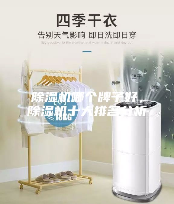 除濕機(jī)哪個(gè)牌子好，除濕機(jī)十大排名分析