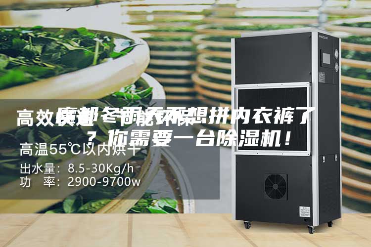 魔都冬雨天不想拼內(nèi)衣褲了？你需要一臺除濕機！