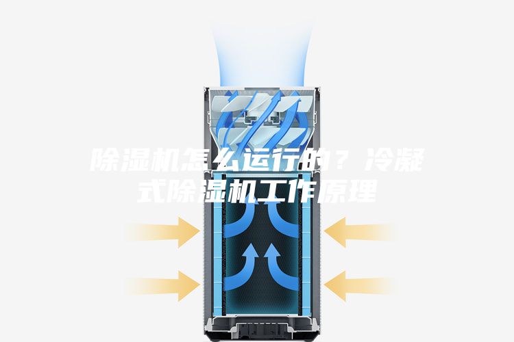 除濕機怎么運行的？冷凝式除濕機工作原理