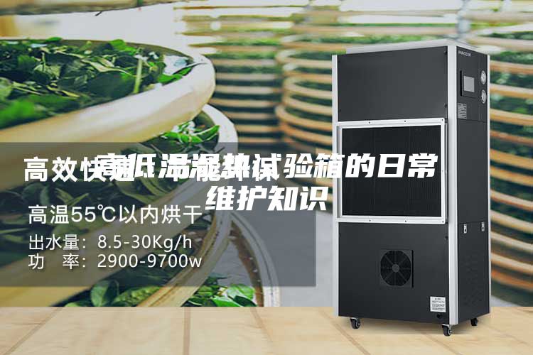 高低溫濕熱試驗箱的日常維護(hù)知識