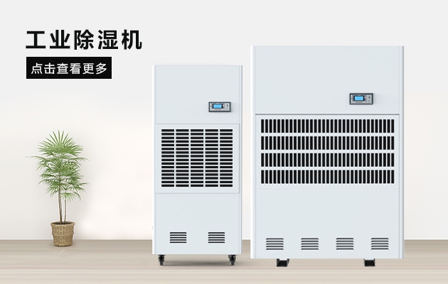 這間熱帶雨林辦公室，不潮濕不下雨還讓員工忘記了在工作