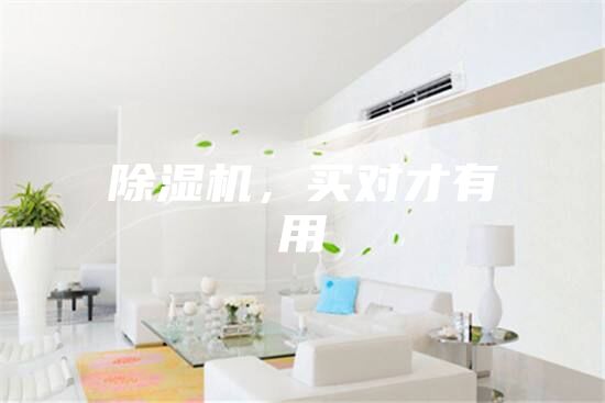 除濕機(jī)，買對(duì)才有用