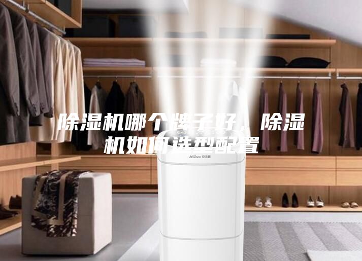 除濕機(jī)哪個(gè)牌子好，除濕機(jī)如何選型配置