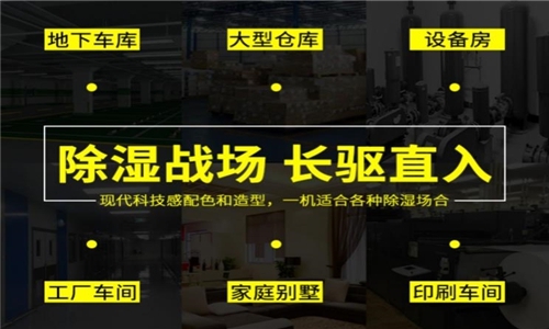 秋冬防濕冷，家里怎么除濕最好？