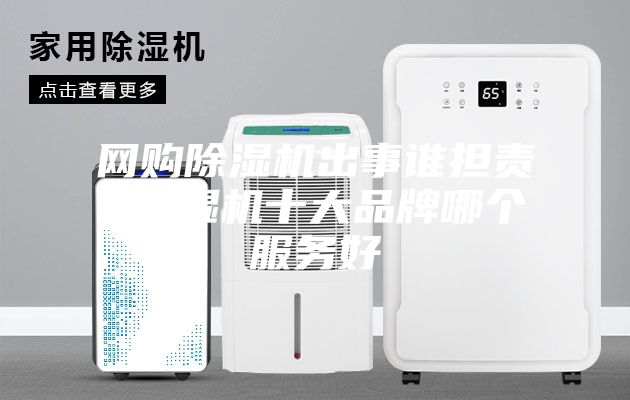 網(wǎng)購除濕機(jī)出事誰擔(dān)責(zé) 除濕機(jī)十大品牌哪個(gè)服務(wù)好