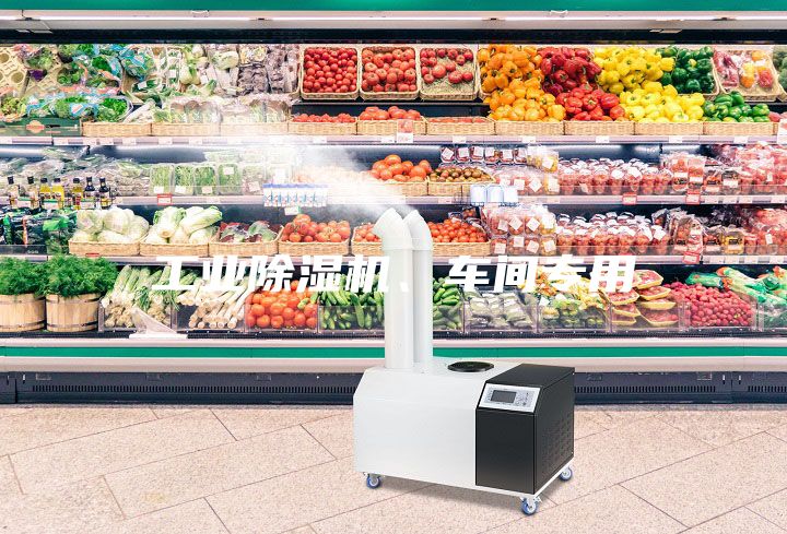 工業(yè)除濕機、車間專用