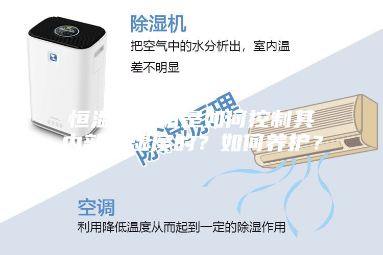 恒溫恒濕箱是如何控制其內(nèi)部溫濕度的？如何養(yǎng)護(hù)？