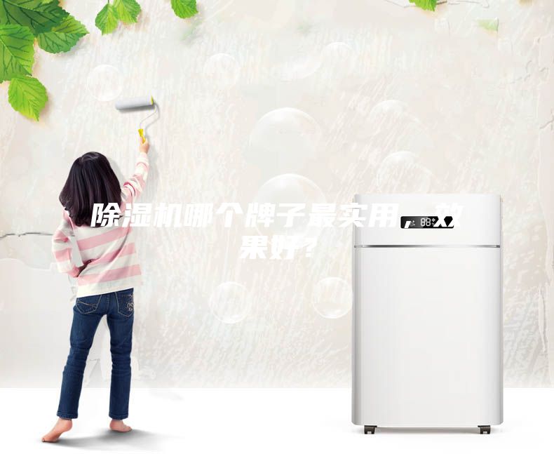 除濕機(jī)哪個(gè)牌子最實(shí)用，效果好？