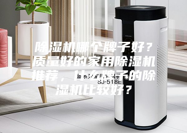 除濕機哪個牌子好？質量好的家用除濕機推薦，什么牌子的除濕機比較好？