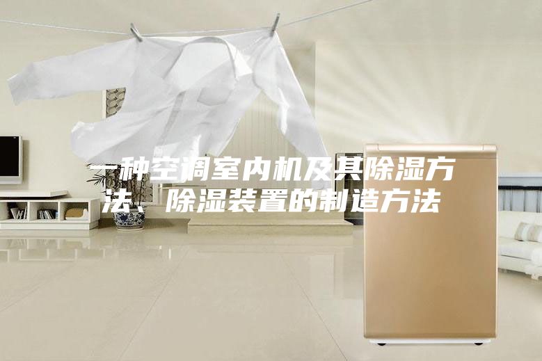 一種空調(diào)室內(nèi)機(jī)及其除濕方法、除濕裝置的制造方法