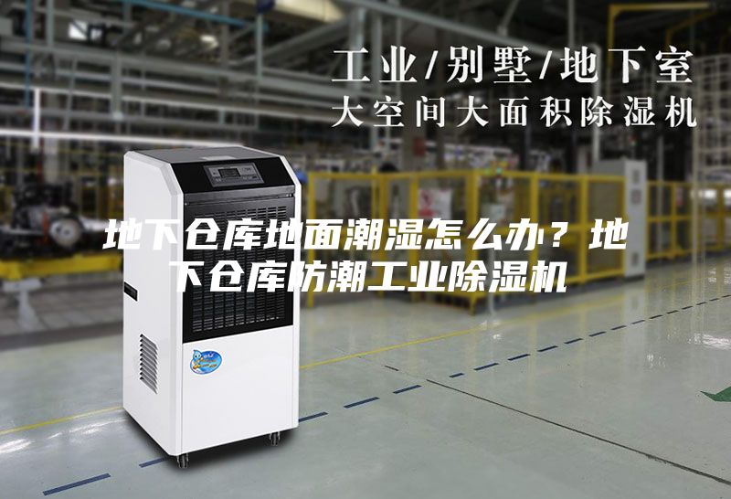 地下倉庫地面潮濕怎么辦？地下倉庫防潮工業(yè)除濕機(jī)