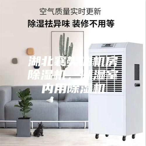 湖北襄樊油機房除濕機，潮濕室內(nèi)用除濕機