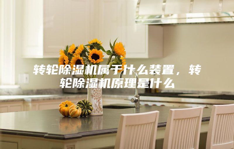 轉(zhuǎn)輪除濕機(jī)屬于什么裝置，轉(zhuǎn)輪除濕機(jī)原理是什么