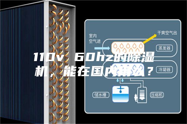 110v 60hz的除濕機，能在國內(nèi)用么？