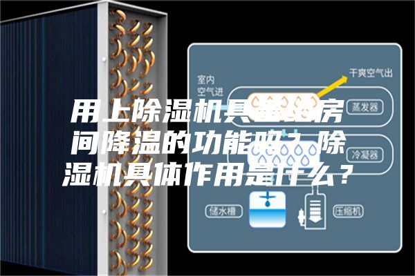 用上除濕機具備給房間降溫的功能嗎？除濕機具體作用是什么？