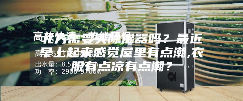 北方需要買除濕器嗎？最近早上起來(lái)感覺屋里有點(diǎn)潮,衣服有點(diǎn)涼有點(diǎn)潮？