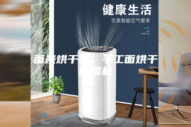 面條烘干機(jī)，手工面烘干除濕機(jī)