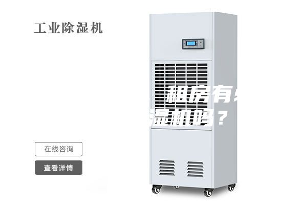初到南方，租房有必要買除濕機嗎？