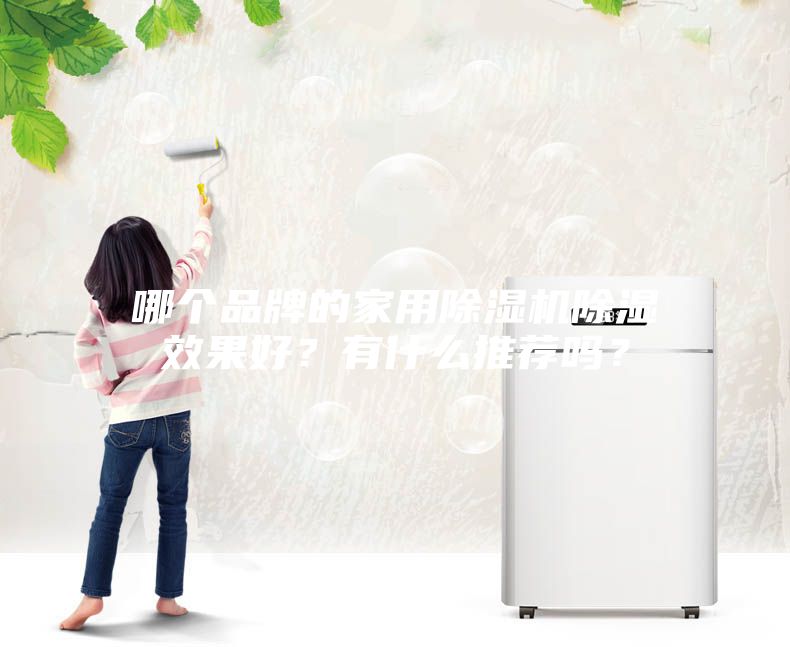 哪個(gè)品牌的家用除濕機(jī)除濕效果好？有什么推薦嗎？