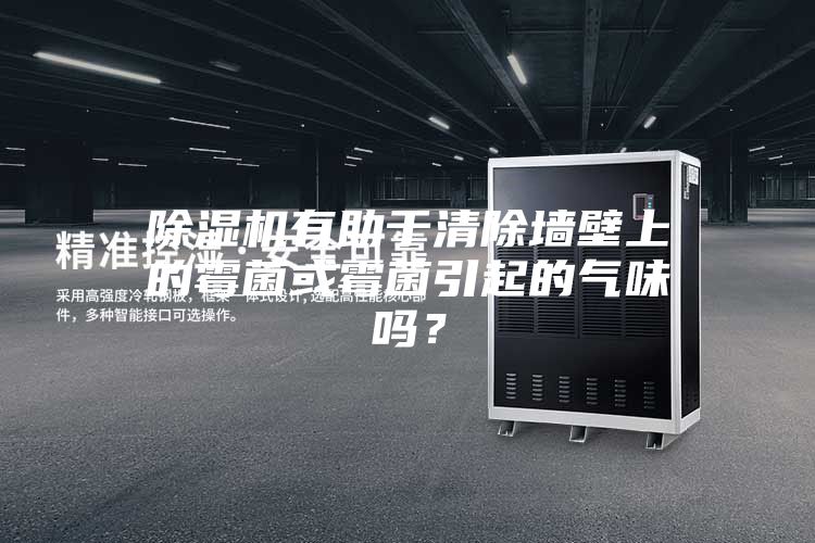 除濕機有助于清除墻壁上的霉菌或霉菌引起的氣味嗎？