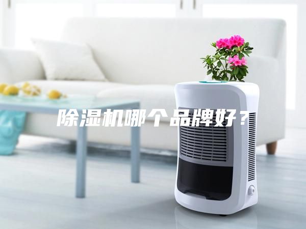 除濕機(jī)哪個(gè)品牌好？