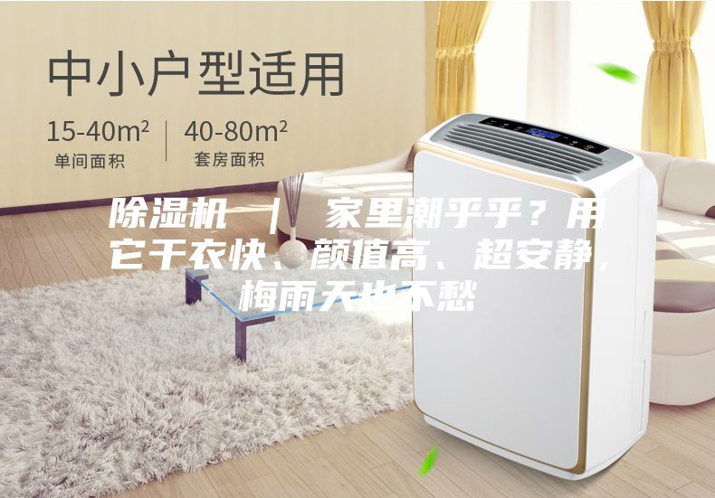 除濕機(jī) ｜ 家里潮乎乎？用它干衣快、顏值高、超安靜，梅雨天也不愁