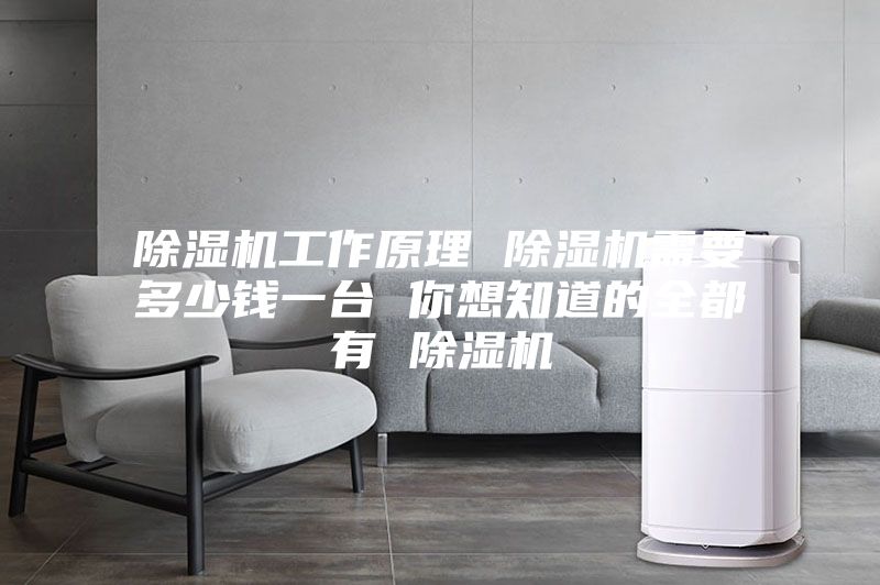 除濕機(jī)工作原理 除濕機(jī)需要多少錢一臺(tái) 你想知道的全都有 除濕機(jī)