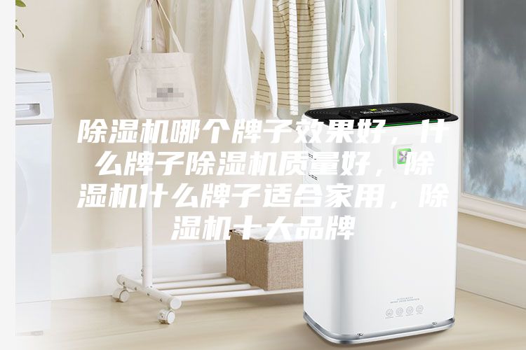 除濕機(jī)哪個(gè)牌子效果好，什么牌子除濕機(jī)質(zhì)量好，除濕機(jī)什么牌子適合家用，除濕機(jī)十大品牌