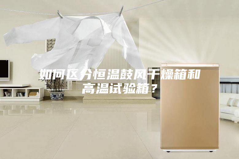 如何區(qū)分恒溫鼓風(fēng)干燥箱和高溫試驗(yàn)箱？