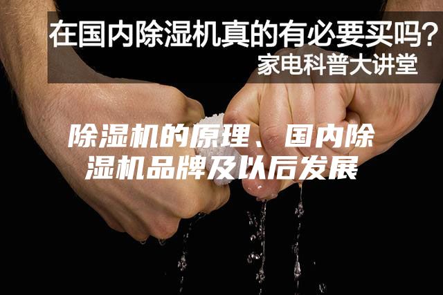 除濕機(jī)的原理、國內(nèi)除濕機(jī)品牌及以后發(fā)展