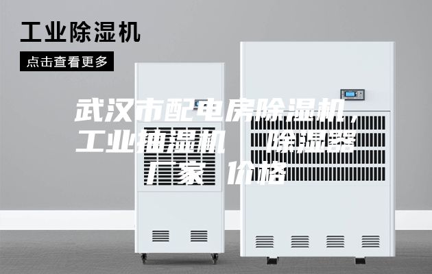 武漢市配電房除濕機，工業(yè)抽濕機  除濕器廠家 價格