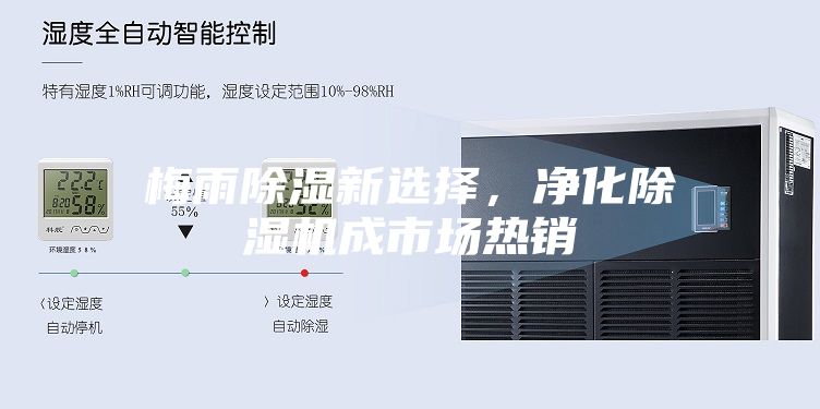 梅雨除濕新選擇，凈化除濕機(jī)成市場熱銷