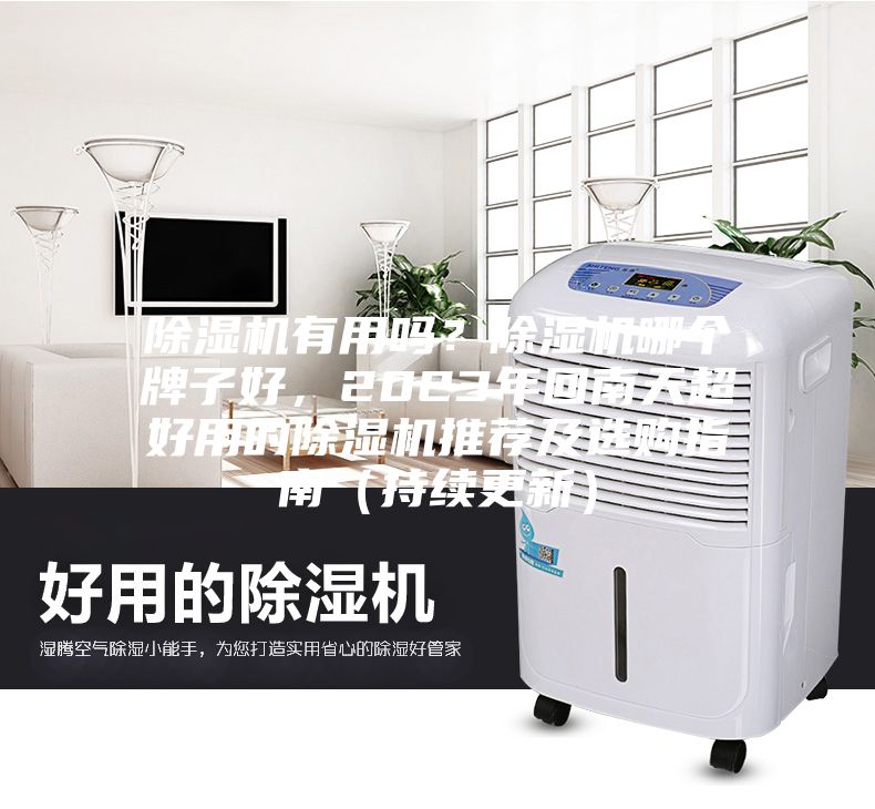 除濕機(jī)有用嗎？除濕機(jī)哪個(gè)牌子好，2023年回南天超好用的除濕機(jī)推薦及選購(gòu)指南（持續(xù)更新）