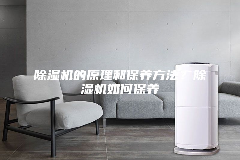 除濕機(jī)的原理和保養(yǎng)方法？除濕機(jī)如何保養(yǎng)
