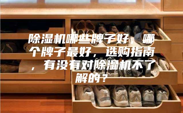 除濕機(jī)哪些牌子好，哪個(gè)牌子最好，選購(gòu)指南，有沒有對(duì)除濕機(jī)不了解的？