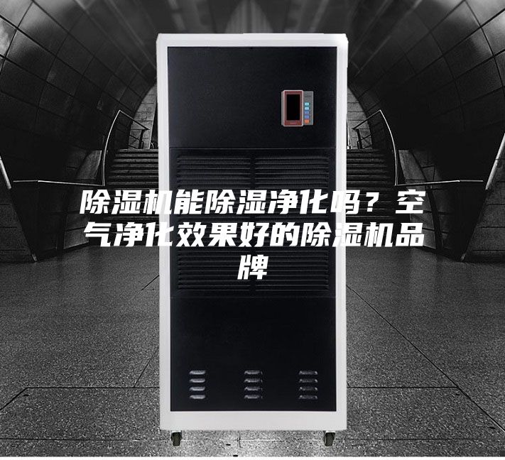 除濕機能除濕凈化嗎？空氣凈化效果好的除濕機品牌